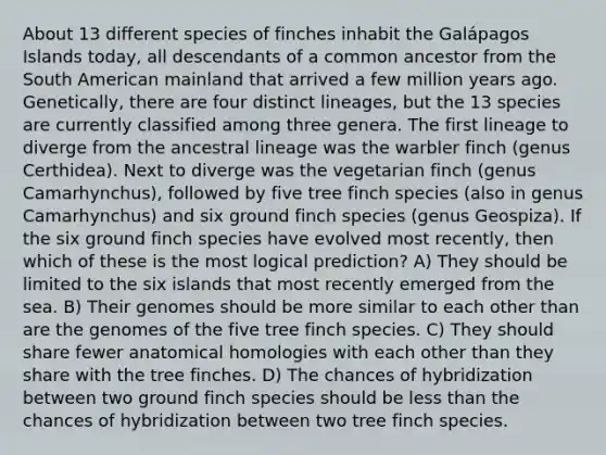 About 13 different species of finches inhabit the Galápagos Islands today, all descendants of a common ancestor from the South American mainland that arrived a few million years ago. Genetically, there are four distinct lineages, but the 13 species are currently classified among three genera. The first lineage to diverge from the ancestral lineage was the warbler finch (genus Certhidea). Next to diverge was the vegetarian finch (genus Camarhynchus), followed by five tree finch species (also in genus Camarhynchus) and six ground finch species (genus Geospiza). If the six ground finch species have evolved most recently, then which of these is the most logical prediction? A) They should be limited to the six islands that most recently emerged from the sea. B) Their genomes should be more similar to each other than are the genomes of the five tree finch species. C) They should share fewer anatomical homologies with each other than they share with the tree finches. D) The chances of hybridization between two ground finch species should be <a href='https://www.questionai.com/knowledge/k7BtlYpAMX-less-than' class='anchor-knowledge'>less than</a> the chances of hybridization between two tree finch species.