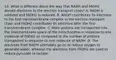 13. What is different about the way that NADH and FADH2 donate electrons to the electron transport chain? A. NADH is oxidized and FADH2 is reduced. B. NADH contributes its electrons to the first transmembrane complex in the electron transport chain and FADH2 contributes its electrons after the first transmembrane complex. C. More protons are transported into the intermembrane space of the mitochondria in response to one molecule of FADH2 as compared to the number of protons transported in response to one molecule of NADH. D. The electrons from NADH ultimately go on to reduce oxygen to generate water, whereas the electrons from FADH2 are used to reduce pyruvate to lactate.