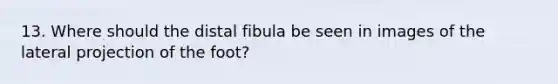 13. Where should the distal fibula be seen in images of the lateral projection of the foot?