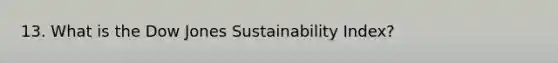 13. What is the Dow Jones Sustainability Index?