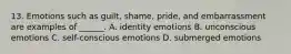 13. Emotions such as guilt, shame, pride, and embarrassment are examples of ______. A. identity emotions B. unconscious emotions C. self-conscious emotions D. submerged emotions