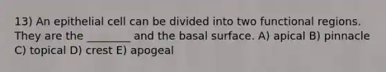 13) An epithelial cell can be divided into two functional regions. They are the ________ and the basal surface. A) apical B) pinnacle C) topical D) crest E) apogeal