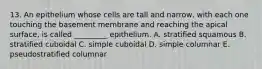 13. An epithelium whose cells are tall and narrow, with each one touching the basement membrane and reaching the apical surface, is called _________ epithelium. A. stratified squamous B. stratified cuboidal C. simple cuboidal D. simple columnar E. pseudostratified columnar