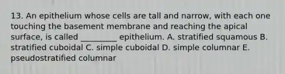 13. An epithelium whose cells are tall and narrow, with each one touching the basement membrane and reaching the apical surface, is called _________ epithelium. A. stratified squamous B. stratified cuboidal C. simple cuboidal D. simple columnar E. pseudostratified columnar