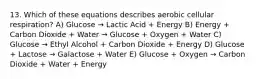 13. Which of these equations describes aerobic cellular respiration? A) Glucose → Lactic Acid + Energy B) Energy + Carbon Dioxide + Water → Glucose + Oxygen + Water C) Glucose → Ethyl Alcohol + Carbon Dioxide + Energy D) Glucose + Lactose → Galactose + Water E) Glucose + Oxygen → Carbon Dioxide + Water + Energy