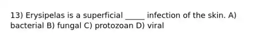 13) Erysipelas is a superficial _____ infection of the skin. A) bacterial B) fungal C) protozoan D) viral