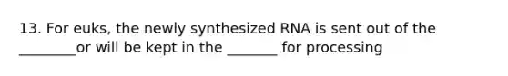 13. For euks, the newly synthesized RNA is sent out of the ________or will be kept in the _______ for processing