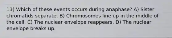 13) Which of these events occurs during anaphase? A) Sister chromatids separate. B) Chromosomes line up in the middle of the cell. C) The nuclear envelope reappears. D) The nuclear envelope breaks up.