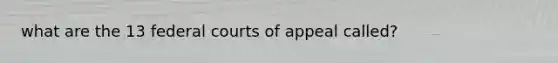 what are the 13 federal courts of appeal called?