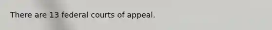 There are 13 federal courts of appeal.