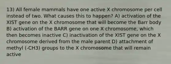 13) All female mammals have one active X chromosome per cell instead of two. What causes this to happen? A) activation of the XIST gene on the X chromosome that will become the Barr body B) activation of the BARR gene on one X chromosome, which then becomes inactive C) inactivation of the XIST gene on the X chromosome derived from the male parent D) attachment of methyl (-CH3) groups to the X chromosome that will remain active