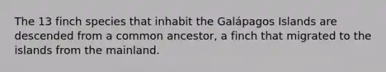 The 13 finch species that inhabit the Galápagos Islands are descended from a common ancestor, a finch that migrated to the islands from the mainland.