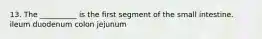 13. The __________ is the first segment of the small intestine. ileum duodenum colon jejunum