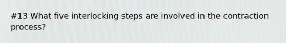 #13 What five interlocking steps are involved in the contraction process?