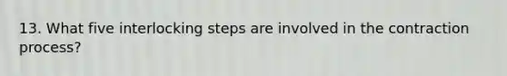 13. What five interlocking steps are involved in the contraction process?