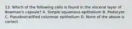 13. Which of the following cells is found in the visceral layer of Bowman's capsule? A. Simple squamous epithelium B. Podocyte C. Pseudostratified columnar epithelium D. None of the above is correct