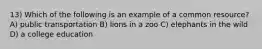 13) Which of the following is an example of a common resource? A) public transportation B) lions in a zoo C) elephants in the wild D) a college education