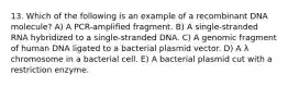 13. Which of the following is an example of a recombinant DNA molecule? A) A PCR-amplified fragment. B) A single-stranded RNA hybridized to a single-stranded DNA. C) A genomic fragment of human DNA ligated to a bacterial plasmid vector. D) A λ chromosome in a bacterial cell. E) A bacterial plasmid cut with a restriction enzyme.