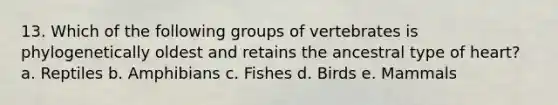 13. Which of the following groups of vertebrates is phylogenetically oldest and retains the ancestral type of heart? a. Reptiles b. Amphibians c. Fishes d. Birds e. Mammals