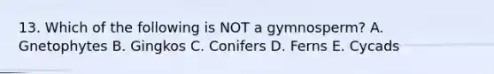 13. Which of the following is NOT a gymnosperm? A. Gnetophytes B. Gingkos C. Conifers D. Ferns E. Cycads