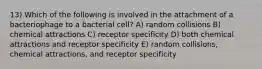 13) Which of the following is involved in the attachment of a bacteriophage to a bacterial cell? A) random collisions B) chemical attractions C) receptor specificity D) both chemical attractions and receptor specificity E) random collisions, chemical attractions, and receptor specificity