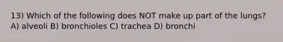 13) Which of the following does NOT make up part of the lungs? A) alveoli B) bronchioles C) trachea D) bronchi