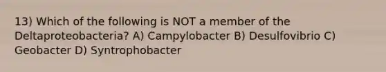 13) Which of the following is NOT a member of the Deltaproteobacteria? A) Campylobacter B) Desulfovibrio C) Geobacter D) Syntrophobacter