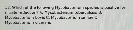 13. Which of the following Mycobacterium species is positive for nitrate reduction? A. Mycobacterium tuberculosis B. Mycobacterium bovis C. Mycobacterium simiae D. Mycobacterium ulcerans