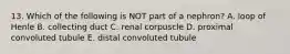 13. Which of the following is NOT part of a nephron? A. loop of Henle B. collecting duct C. renal corpuscle D. proximal convoluted tubule E. distal convoluted tubule