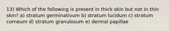 13) Which of the following is present in thick skin but not in thin skin? a) stratum germinativum b) stratum lucidum c) stratum corneum d) stratum granulosum e) dermal papillae