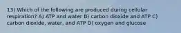 13) Which of the following are produced during cellular respiration? A) ATP and water B) carbon dioxide and ATP C) carbon dioxide, water, and ATP D) oxygen and glucose