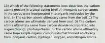 13) Which of the following statements best describes the carbon atoms present in a seed-eating bird? A) Inorganic carbon atoms in the seeds were incorporated into organic molecules by the bird. B) The carbon atoms ultimately came from the soil. C) The carbon atoms are ultimately derived from coal. D) The carbon atoms ultimately came from carbon dioxide incorporated into sugars through photosynthesis. E) The carbon atoms ultimately came from simple organic compounds that formed abiotically from inorganic carbon, hydrogen, oxygen, and nitrogen atoms.