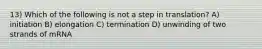 13) Which of the following is not a step in translation? A) initiation B) elongation C) termination D) unwinding of two strands of mRNA