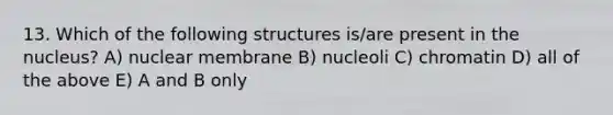 13. Which of the following structures is/are present in the nucleus? A) nuclear membrane B) nucleoli C) chromatin D) all of the above E) A and B only