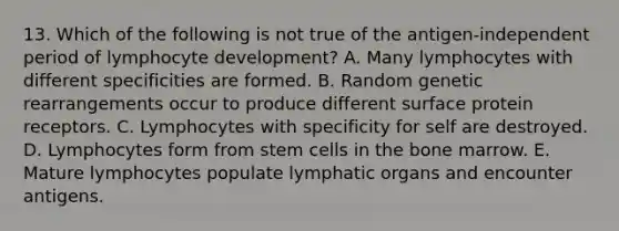 13. Which of the following is not true of the antigen-independent period of lymphocyte development? A. Many lymphocytes with different specificities are formed. B. Random genetic rearrangements occur to produce different surface protein receptors. C. Lymphocytes with specificity for self are destroyed. D. Lymphocytes form from stem cells in the bone marrow. E. Mature lymphocytes populate lymphatic organs and encounter antigens.