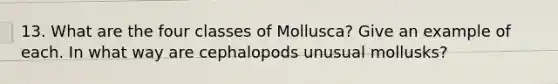 13. What are the four classes of Mollusca? Give an example of each. In what way are cephalopods unusual mollusks?