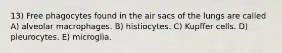 13) Free phagocytes found in the air sacs of the lungs are called A) alveolar macrophages. B) histiocytes. C) Kupffer cells. D) pleurocytes. E) microglia.