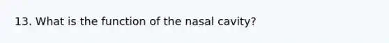 13. What is the function of the nasal cavity?