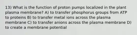 13) What is the function of proton pumps localized in the plant plasma membrane? A) to transfer phosphorus groups from ATP to proteins B) to transfer metal ions across the plasma membrane C) to transfer anions across the plasma membrane D) to create a membrane potential