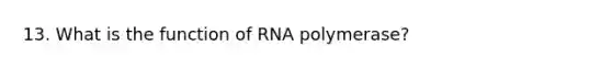 13. What is the function of RNA polymerase?