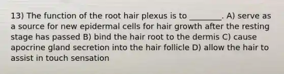 13) The function of the root hair plexus is to ________. A) serve as a source for new epidermal cells for hair growth after the resting stage has passed B) bind the hair root to the dermis C) cause apocrine gland secretion into the hair follicle D) allow the hair to assist in touch sensation