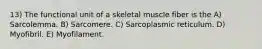 13) The functional unit of a skeletal muscle fiber is the A) Sarcolemma. B) Sarcomere. C) Sarcoplasmic reticulum. D) Myofibril. E) Myofilament.