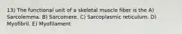 13) The functional unit of a skeletal muscle fiber is the A) Sarcolemma. B) Sarcomere. C) Sarcoplasmic reticulum. D) Myofibril. E) Myofilament