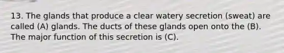 13. The glands that produce a clear watery secretion (sweat) are called (A) glands. The ducts of these glands open onto the (B). The major function of this secretion is (C).