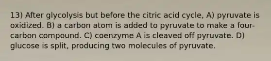 13) After glycolysis but before the citric acid cycle, A) pyruvate is oxidized. B) a carbon atom is added to pyruvate to make a four-carbon compound. C) coenzyme A is cleaved off pyruvate. D) glucose is split, producing two molecules of pyruvate.