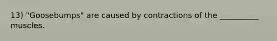 13) "Goosebumps" are caused by contractions of the __________ muscles.