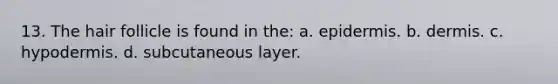 13. The hair follicle is found in the: a. epidermis. b. dermis. c. hypodermis. d. subcutaneous layer.