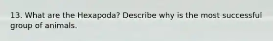 13. What are the Hexapoda? Describe why is the most successful group of animals.