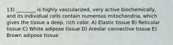 13) ________ is highly vascularized, very active biochemically, and its individual cells contain numerous mitochondria, which gives the tissue a deep, rich color. A) Elastic tissue B) Reticular tissue C) White adipose tissue D) Areolar connective tissue E) Brown adipose tissue