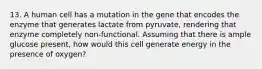 13. A human cell has a mutation in the gene that encodes the enzyme that generates lactate from pyruvate, rendering that enzyme completely non-functional. Assuming that there is ample glucose present, how would this cell generate energy in the presence of oxygen?